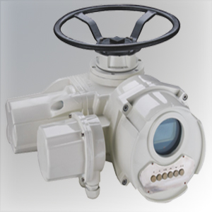 Electric Actuator